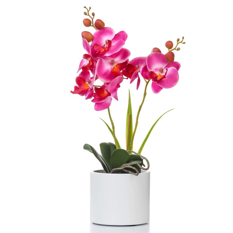 Jusdreen Artificial Purple Orchid, Phalaenopsis in Ceramic Pot with Vase for Home Office Table Decor, Flower Centerpiece - Image 1